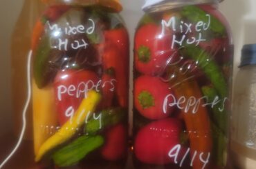 Mixed lactofermented Peppers.