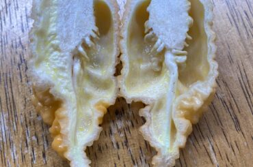 Pretty cross section