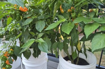 Fall is gonna be hotter than Summer...