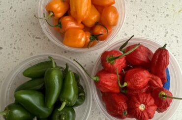 Your favorite recipes please :)