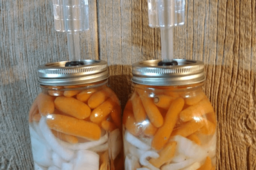 Grew two Habanada heatless habanero plants this year, and making some fermented heatless hot sauce.