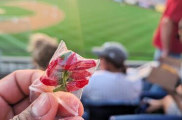 Snuck diavolicchio in Citizens Bank Park for my hoagie