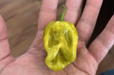 Halloween is fast approaching!