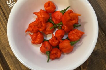 About a weeks worth of harvest