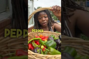 Garden to Table MOUTHWATERING Vegan Recipe