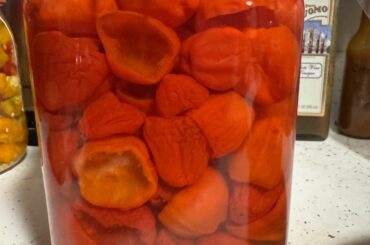 Pickled Peppadews!