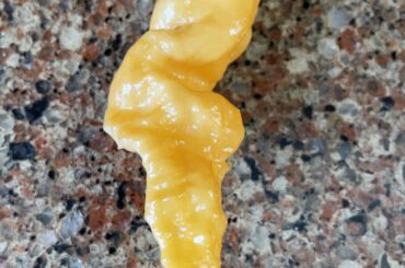 My first peach stinger