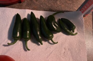 Could I make a sauce out of these little guys from the garden?