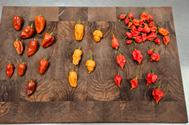 Left to right: Orion, BOC x Reaper & Zing from White Hot Peppers