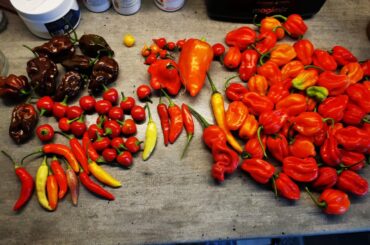 Please help me identify those !