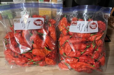 Todays Harvest (Ghost)