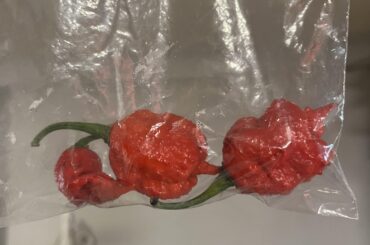 Suggestions for these peppers?