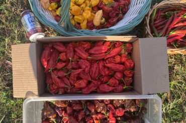 Got a full weekend of processing ahead of me!