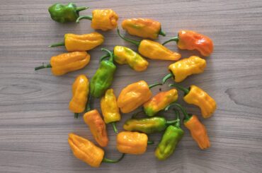 Got a gift from a friend - help ID please