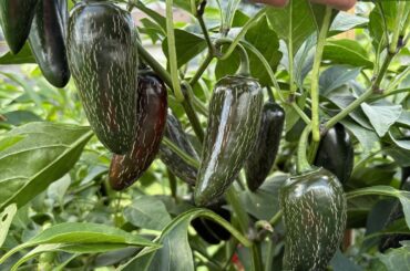 We talkin bout corking