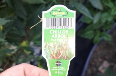 These peppers are not whatwas advertised.