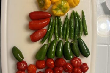 Climbing the Scoville Scale