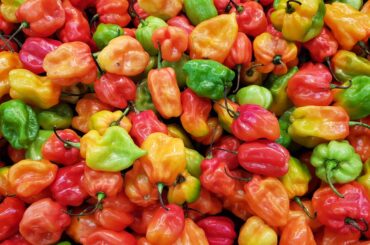 Habaneros