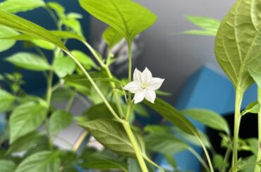 Does anyone have credible sources for my problem?