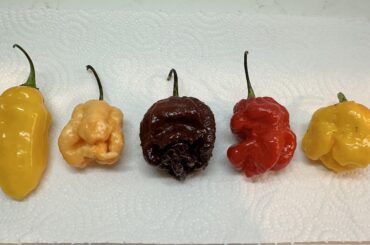 Mind helping to ID some peppers?