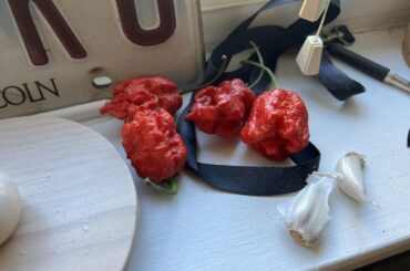 What is this punishing pepper?