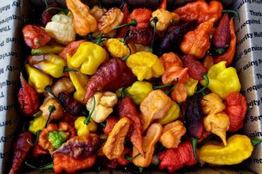 Big Ole box of spicy