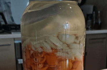 First Time Ferment... Fingers crossed