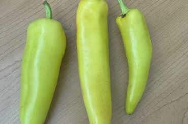 Got these in my CSA bag - what are they?