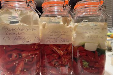 First time trying fermented hot sauce.