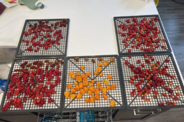 My wife says I’m crazy; she’s probably right about that.