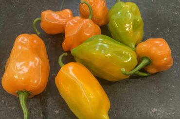 Is this enough to make some hot sauce?