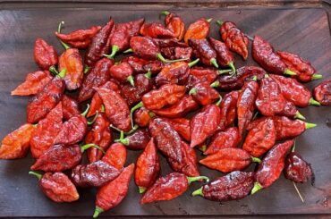 A five minute harvest between showers