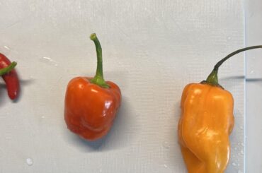 Pepper ID help