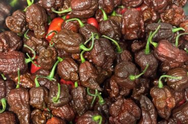 My favorite time of year!