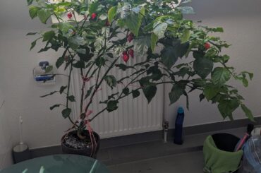 Bathroom Reaper update