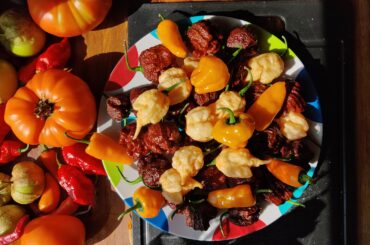 Last of the Last of the Summer?!?