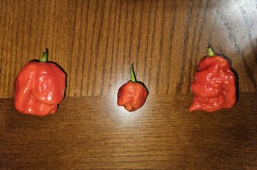 3 SuperHots