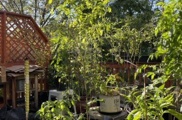 Why did this happen.