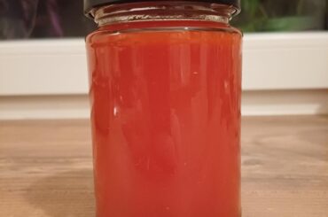 My first hot sauce lacto-ferment