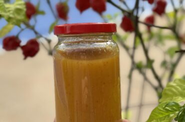 Made my first hot sauce - a Carolina Reaper Mango Pineapple
