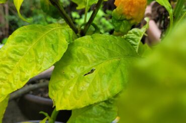 Can I get a witness??