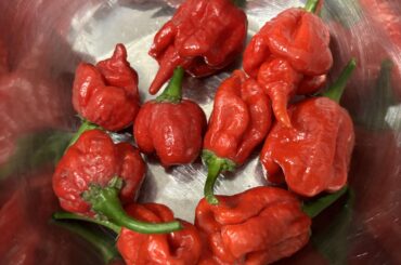 I’m already sweating.