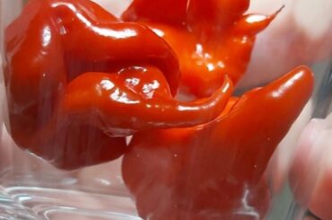 Shot of Reaper anyone?