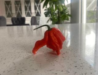 An abomination of a ghost pepper.