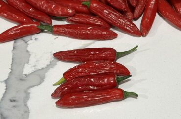 im a casual pepperer. kinda neglected my serranos and these stayed on the plant too long. i know they wouldn’t kill me but are they still “good”?