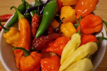 Small harvest for my girlfriends cooking school