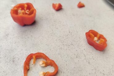 I tries my first slice of a "Habanero Naga Buth Jolokia"