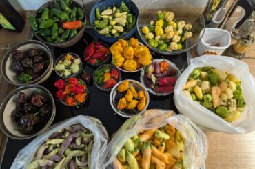 Last haul of the season