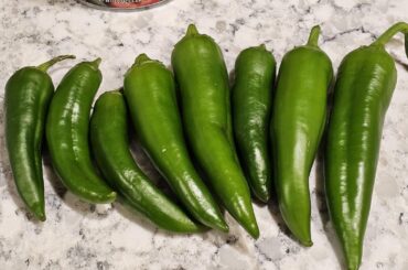 Bought this as a sprout at Lowe's