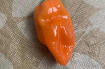 What type of peppers are these?